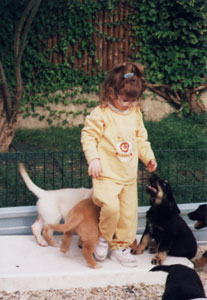 chiots de Niob avec Claire